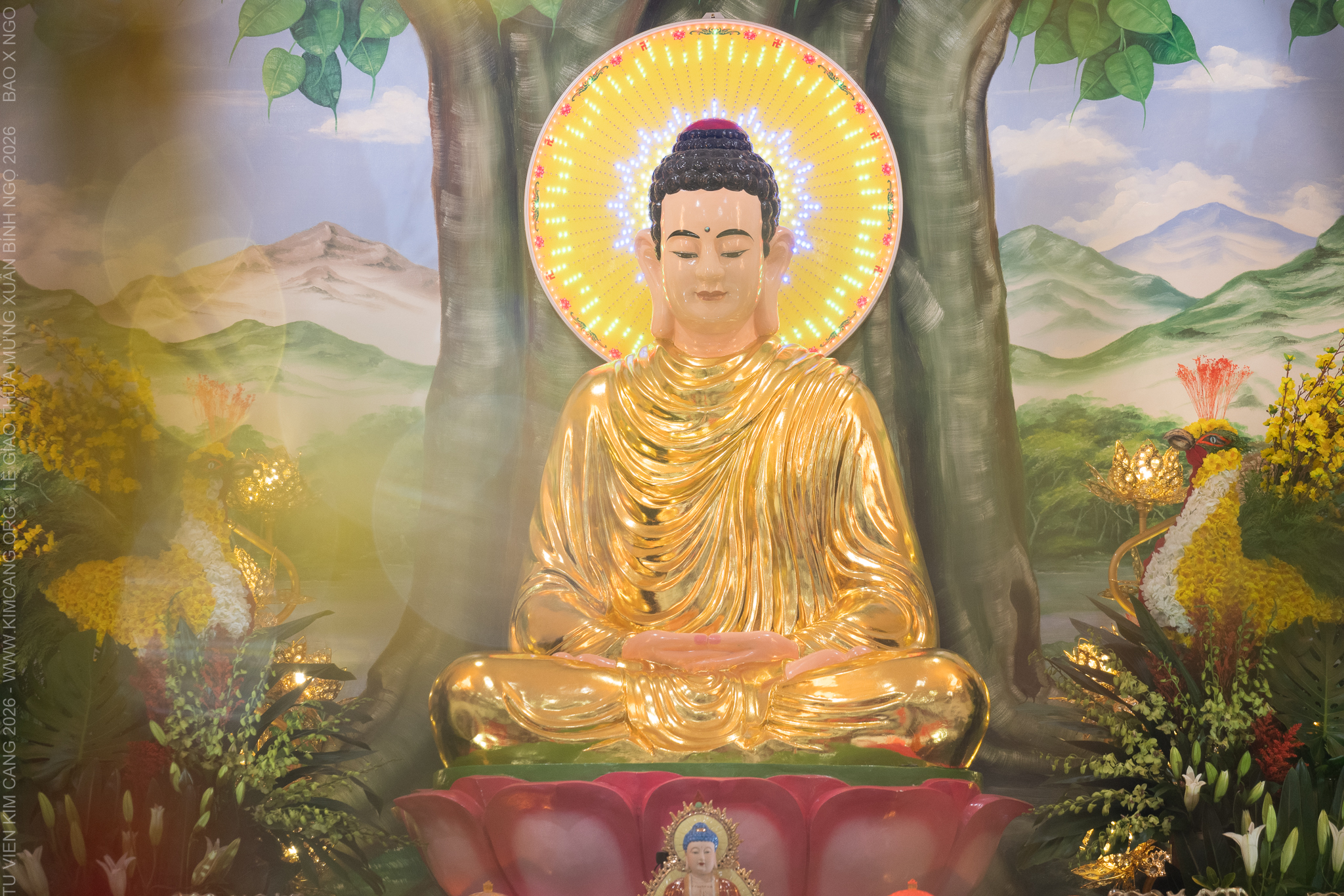 No description available